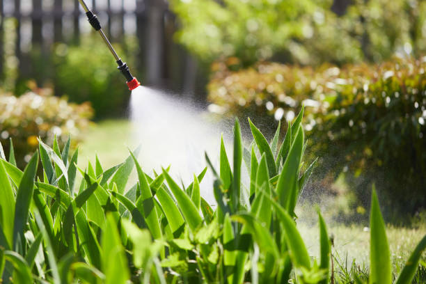 Tamper-Resistant Bait Stations for Rodents in Loveland