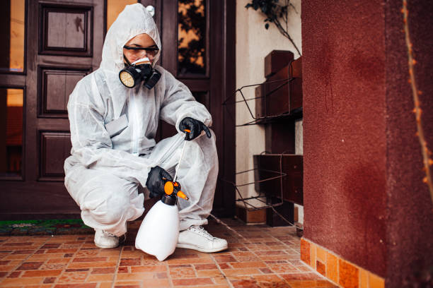 Attic and Crawl Space Rodent Treatment in Loveland