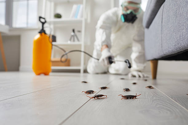 Commercial Rodent Management in Loveland